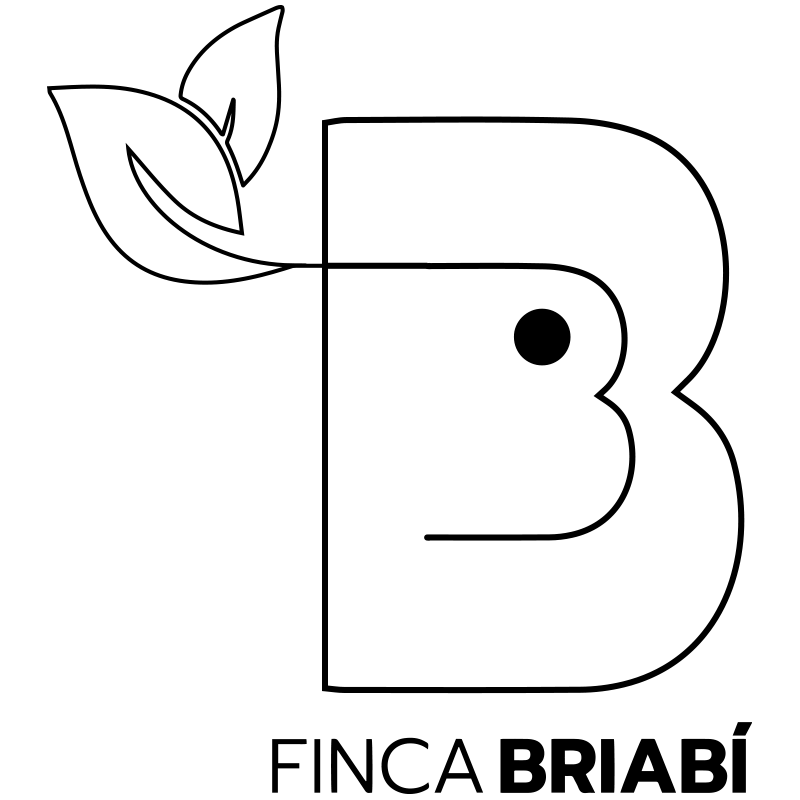 hotel cuevas LOGO negro